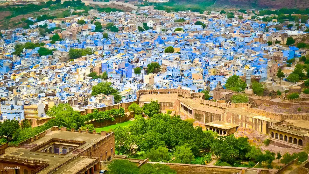 Discover the Best Car Tours in Jodhpur: A Blend of Culture, Nature, and Convenience